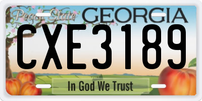 GA license plate CXE3189