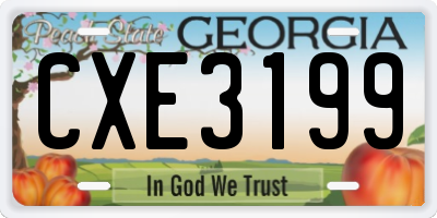 GA license plate CXE3199