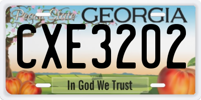 GA license plate CXE3202
