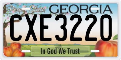 GA license plate CXE3220