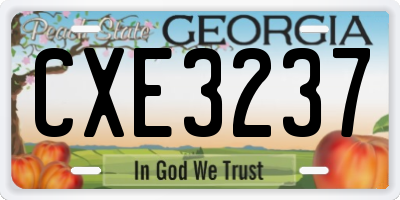 GA license plate CXE3237