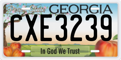 GA license plate CXE3239