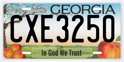 GA license plate CXE3250