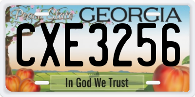 GA license plate CXE3256