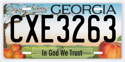 GA license plate CXE3263