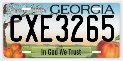 GA license plate CXE3265