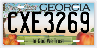 GA license plate CXE3269