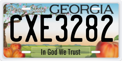 GA license plate CXE3282