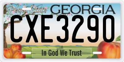 GA license plate CXE3290
