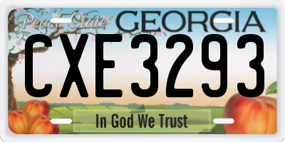 GA license plate CXE3293