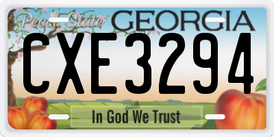 GA license plate CXE3294