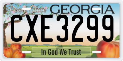 GA license plate CXE3299