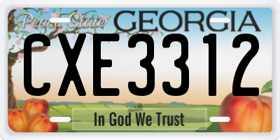 GA license plate CXE3312
