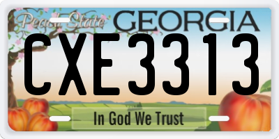 GA license plate CXE3313