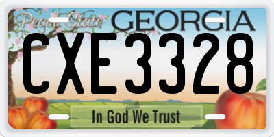 GA license plate CXE3328
