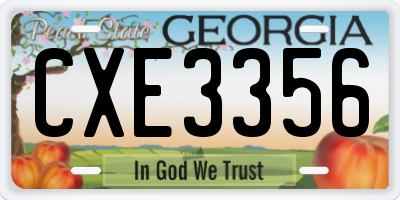 GA license plate CXE3356