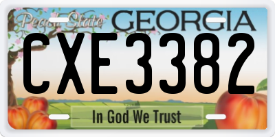GA license plate CXE3382
