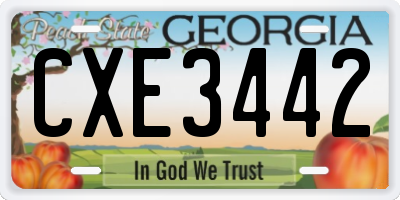 GA license plate CXE3442