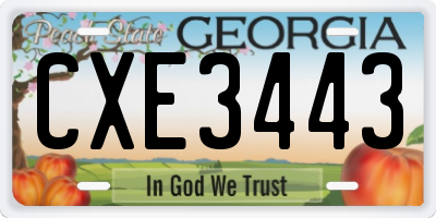 GA license plate CXE3443