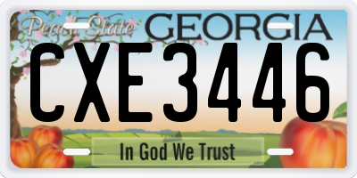 GA license plate CXE3446