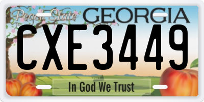 GA license plate CXE3449