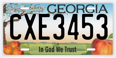 GA license plate CXE3453