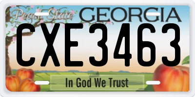 GA license plate CXE3463