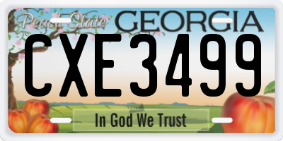 GA license plate CXE3499