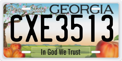 GA license plate CXE3513