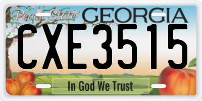 GA license plate CXE3515
