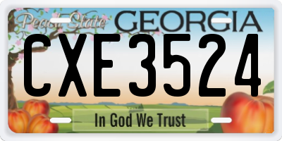 GA license plate CXE3524