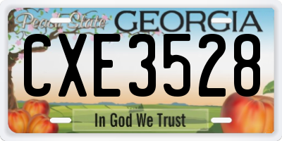 GA license plate CXE3528
