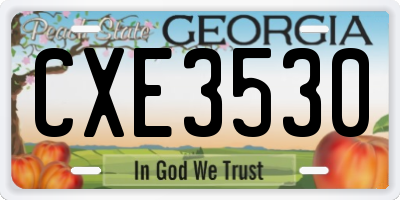 GA license plate CXE3530