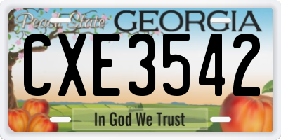 GA license plate CXE3542