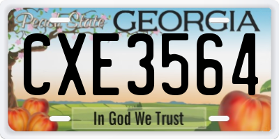 GA license plate CXE3564