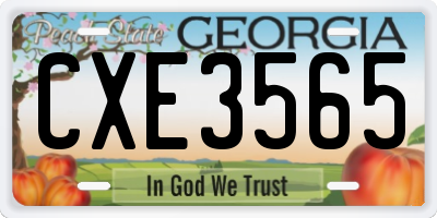 GA license plate CXE3565