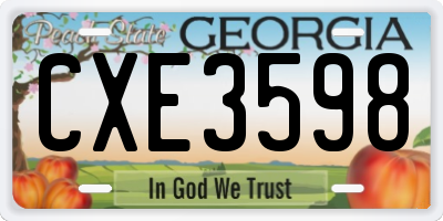 GA license plate CXE3598