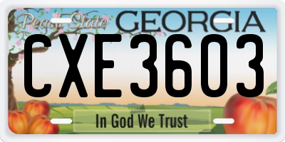 GA license plate CXE3603