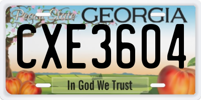 GA license plate CXE3604