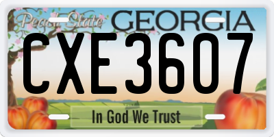 GA license plate CXE3607