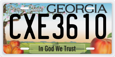 GA license plate CXE3610