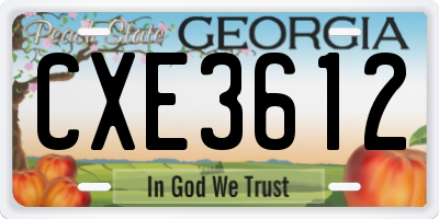GA license plate CXE3612