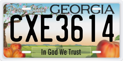 GA license plate CXE3614