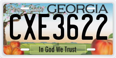GA license plate CXE3622
