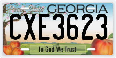 GA license plate CXE3623