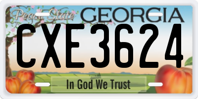 GA license plate CXE3624