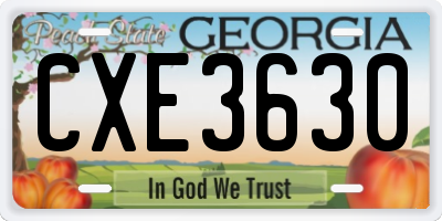 GA license plate CXE3630