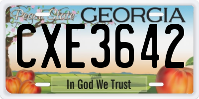 GA license plate CXE3642