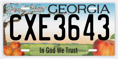 GA license plate CXE3643