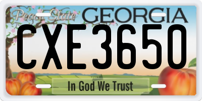 GA license plate CXE3650